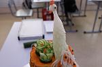 IMG_1215.JPG